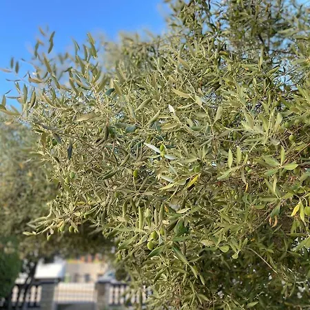 Jadro Appartamento *